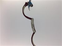 Orologio Philip Watch Donna in Acciaio 8251850553 - 8251850553